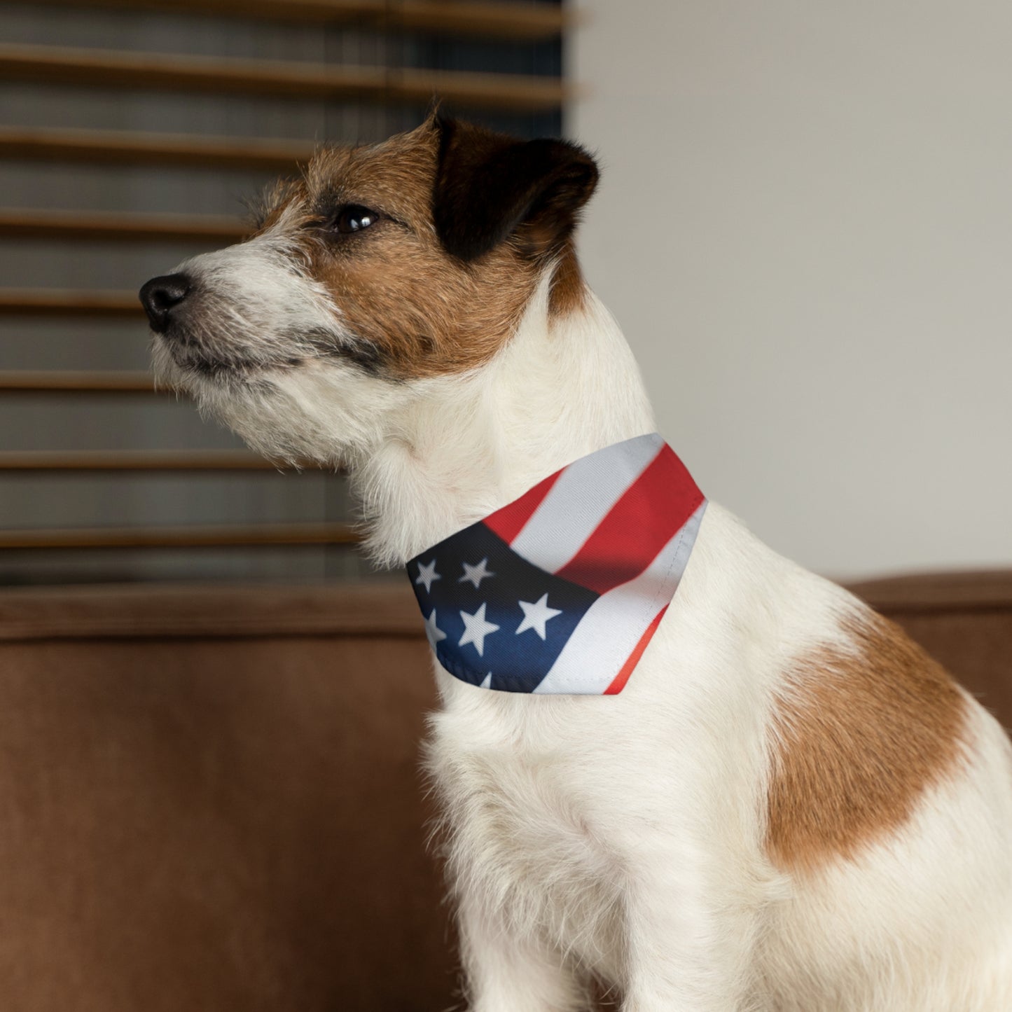 AMERICAN FLAG Pet Bandana Collar