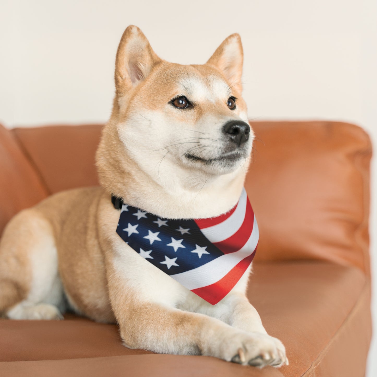 AMERICAN FLAG Pet Bandana Collar