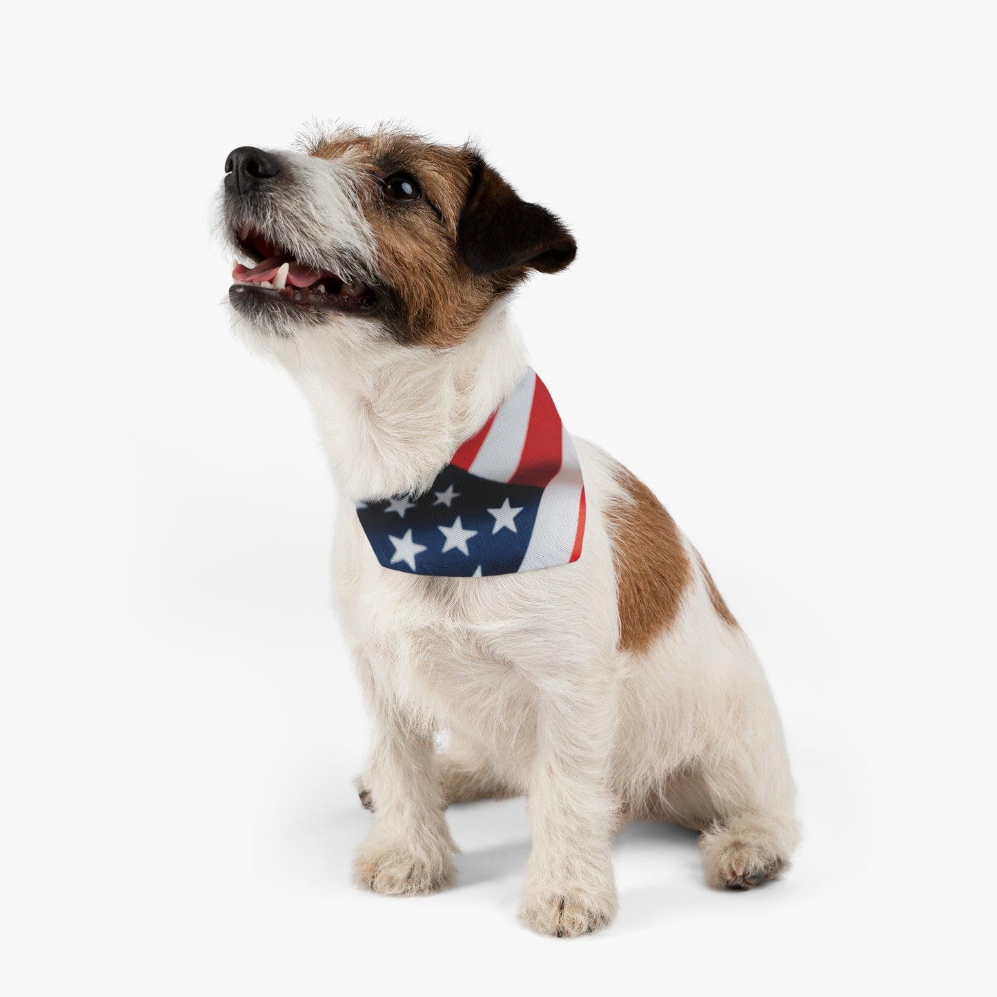 AMERICAN FLAG Pet Bandana Collar