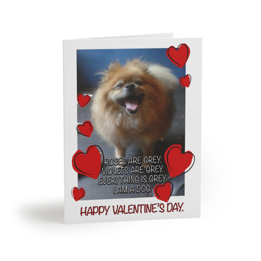 Roses are Grey Violets are Grey I am a Dog Valentines Day Greeting cards (8 pcs)