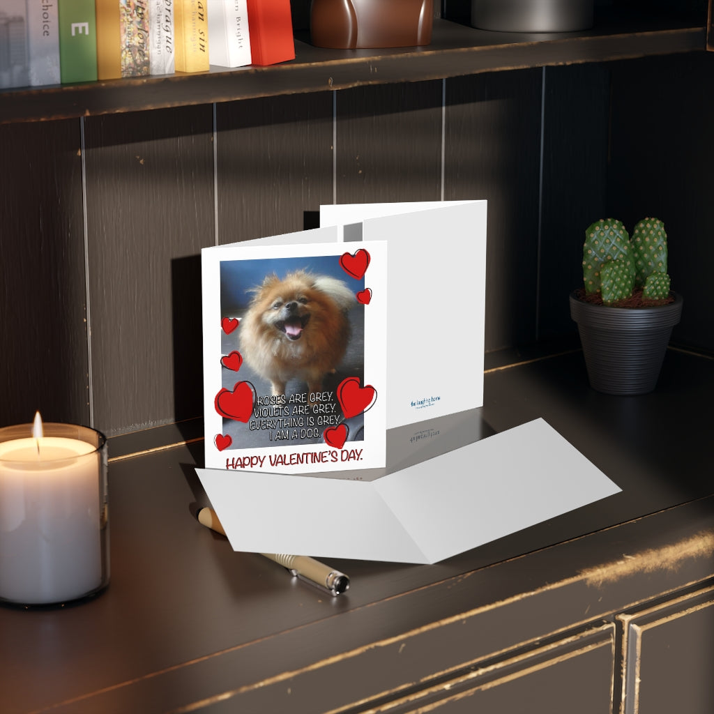 Roses are Grey Violets are Grey I am a Dog Valentines Day Greeting cards (8 pcs)