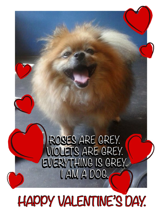 Rose are Grey Violets are Grey I am a Dog Valentine Unisex Jersey Short Sleeve Tee