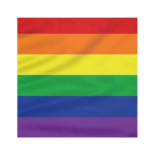 Pride Flag Printed Fabric Napkins, Set of 4