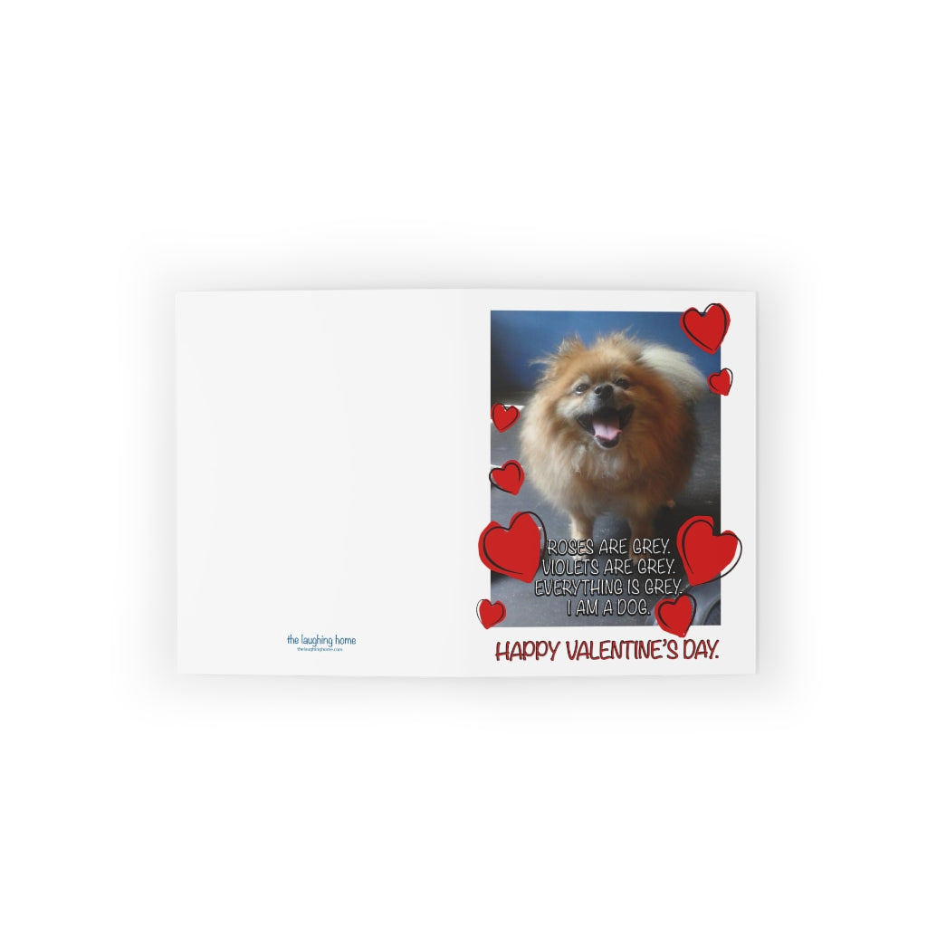 Roses are Grey Violets are Grey I am a Dog Valentines Day Greeting cards (8 pcs)